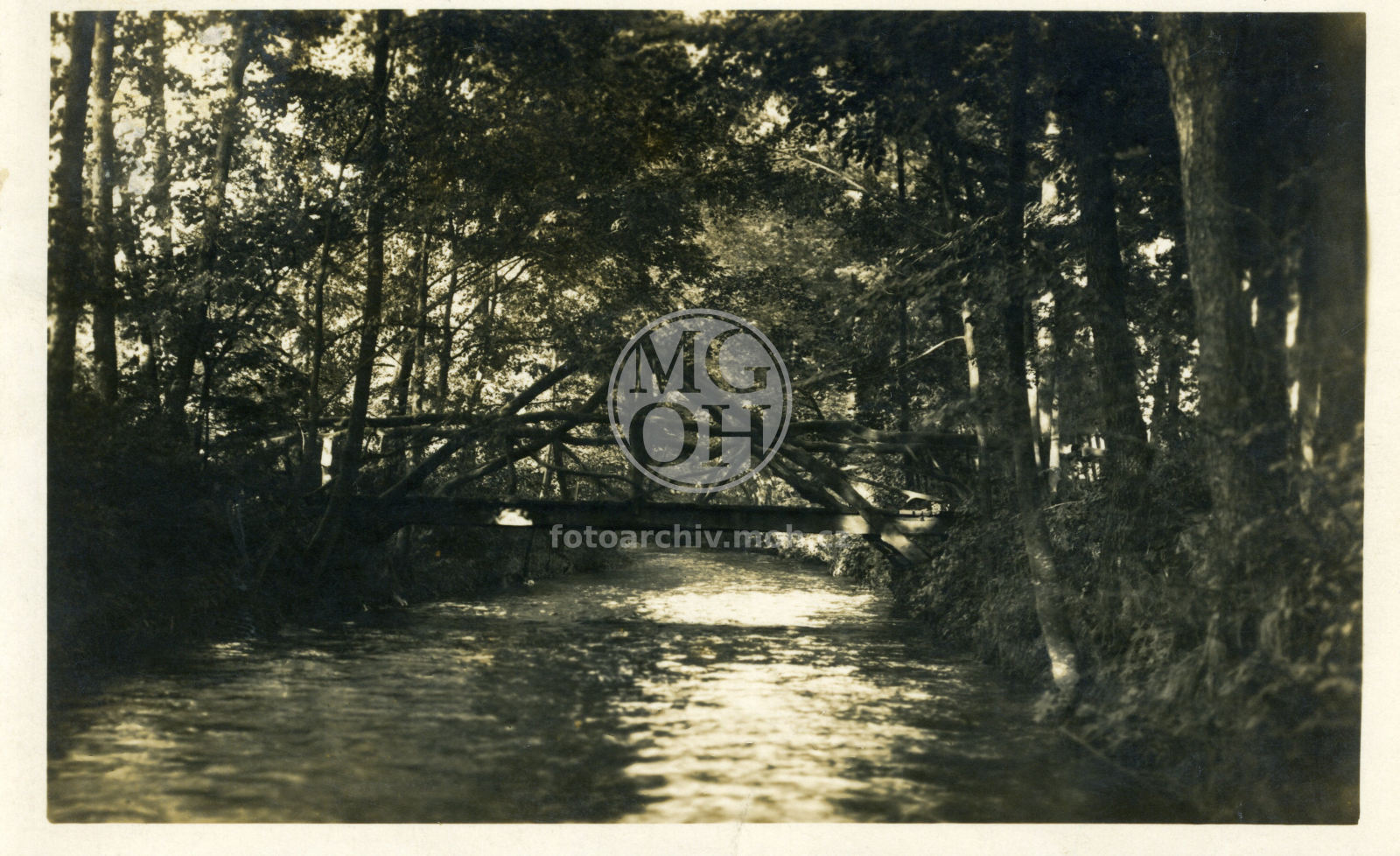 Fotografie - Partie Dobrovského sadu