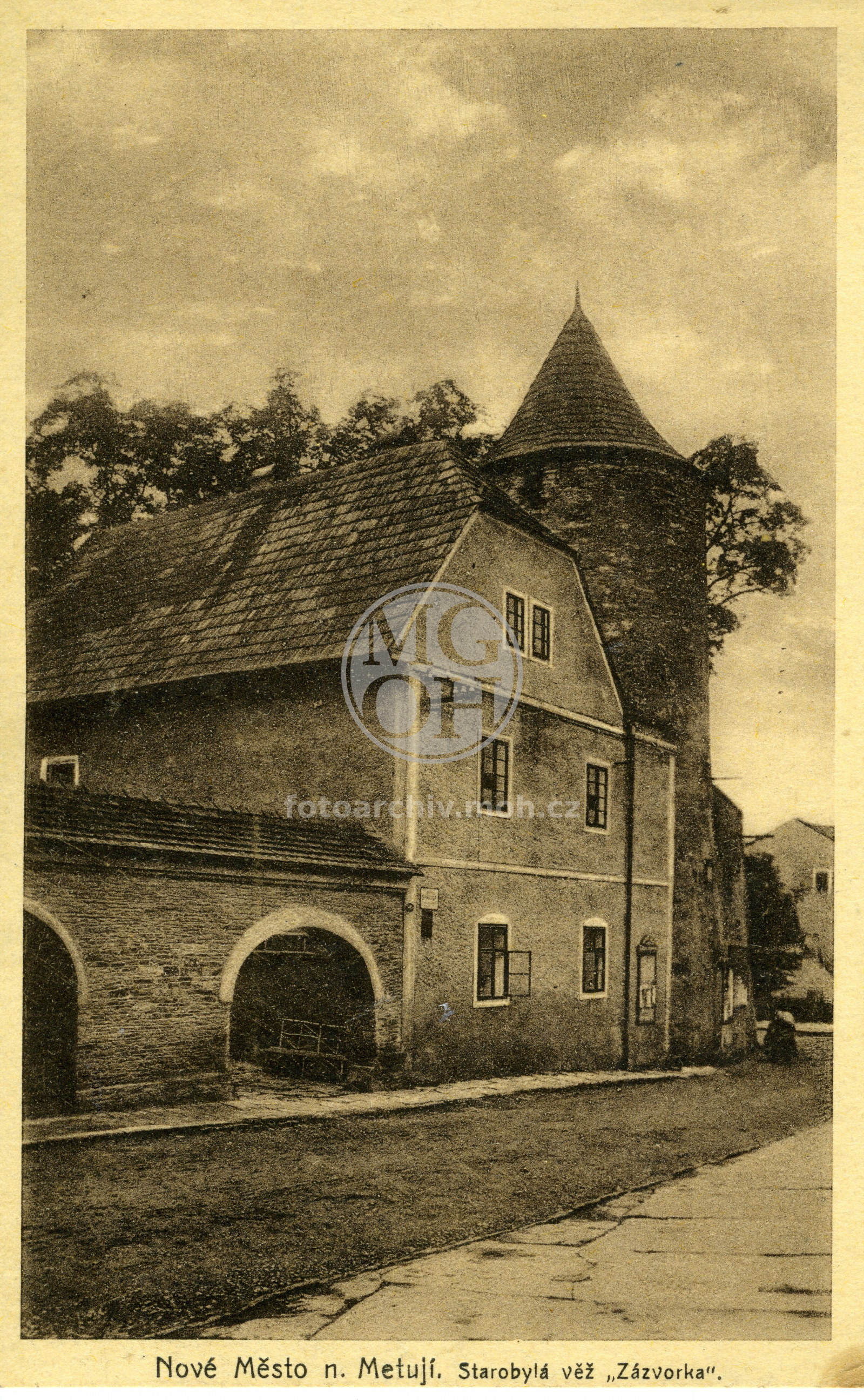 Fotografie - Zázvorka