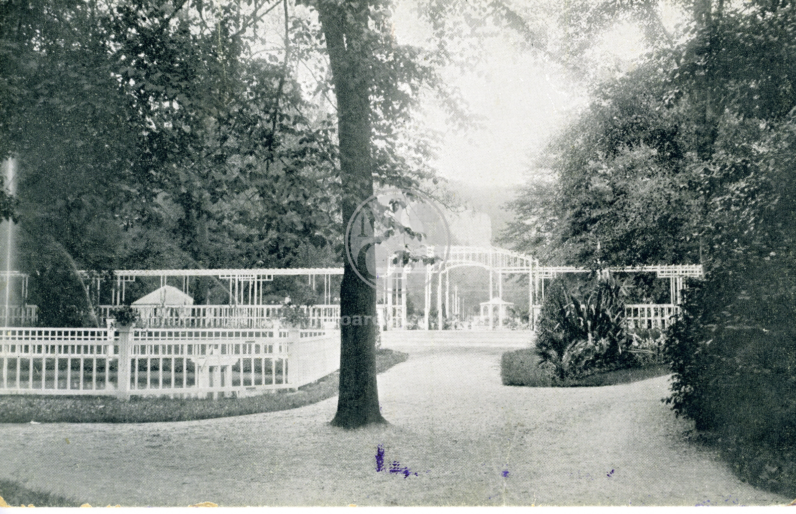 Fotografie - Výstava