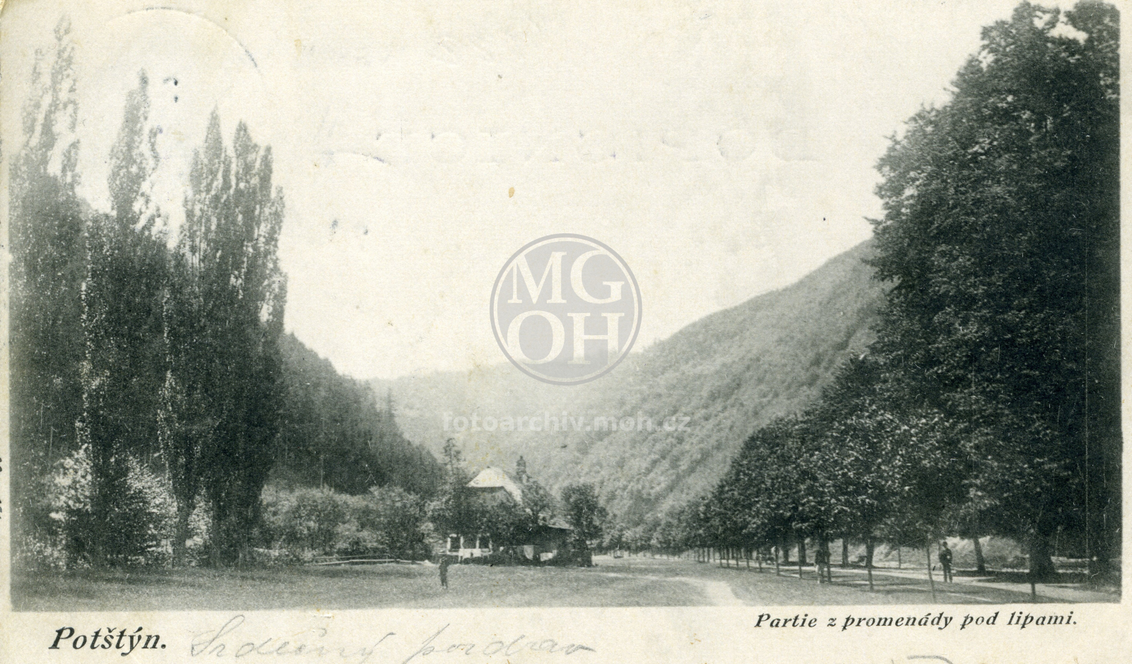 Fotografie - Promenáda pod lípami