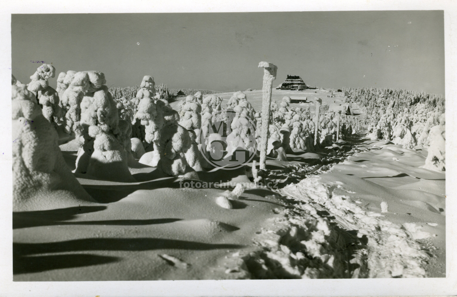 Fotografie - Masarykova chata
