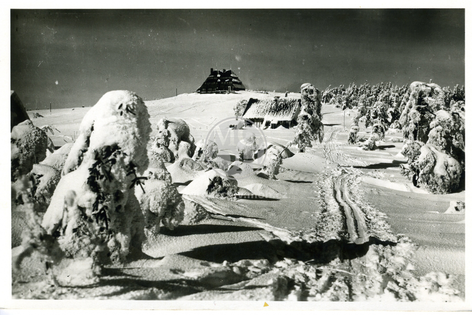 Fotografie - Masarykova chata