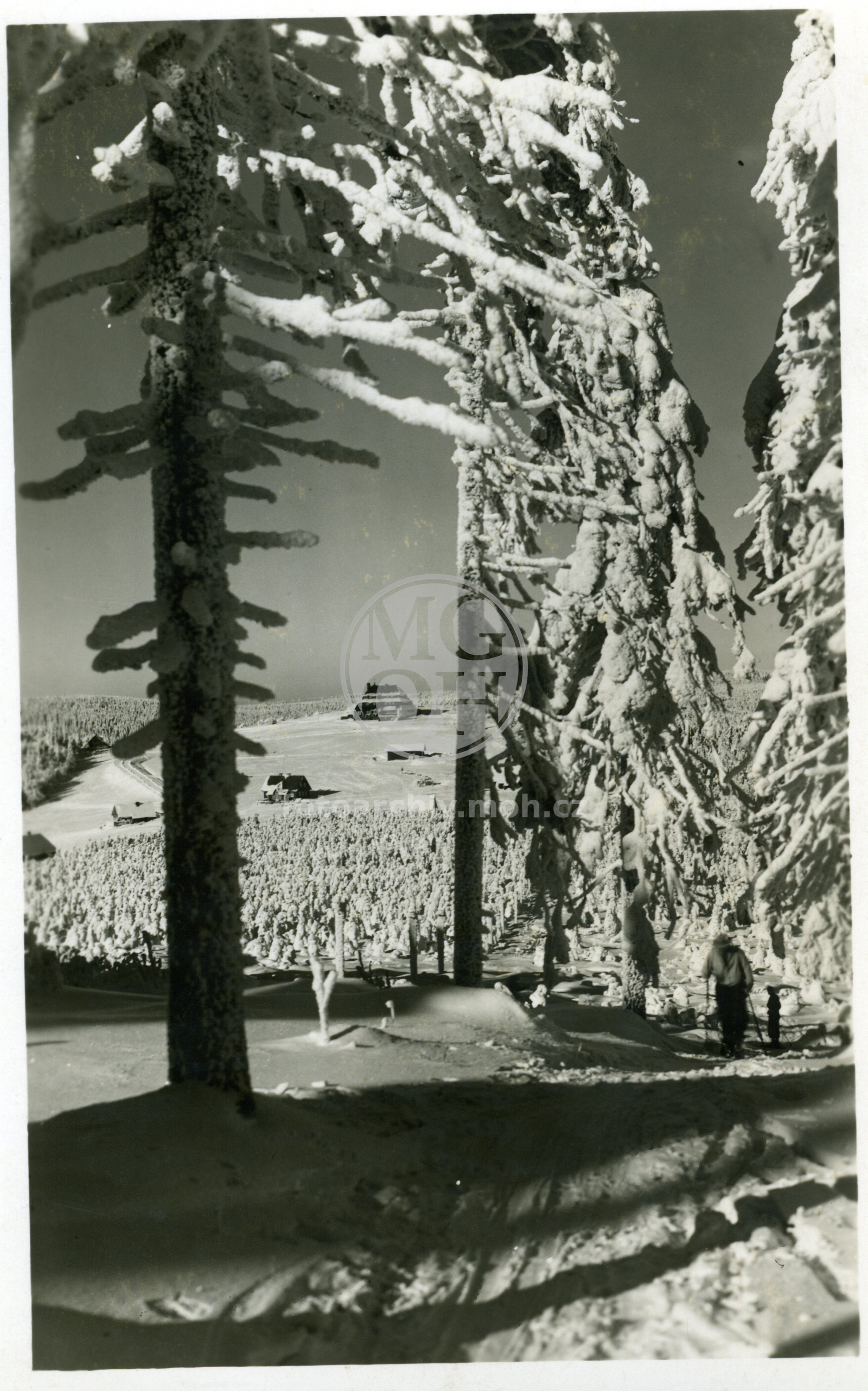 Fotografie - Masarykova chata