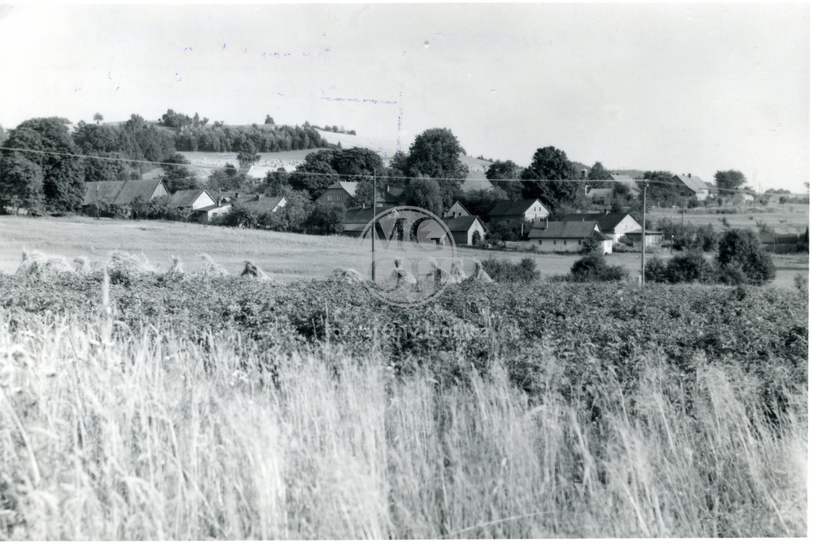 Fotografie - Celkový pohled