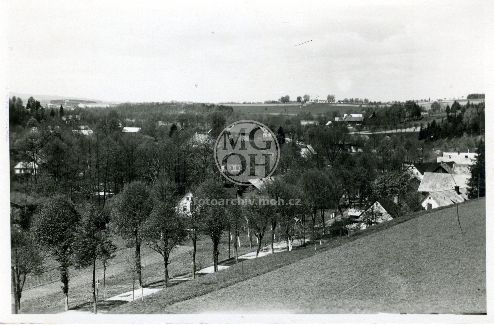 Fotografie - Celkový pohled