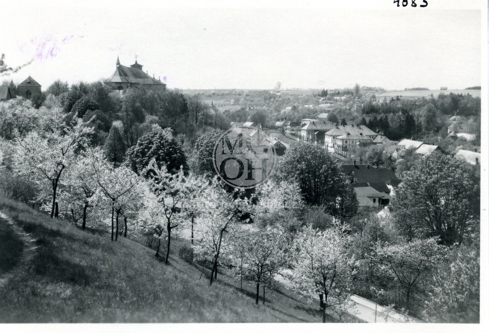 Fotografie - Celkový pohled - jaro