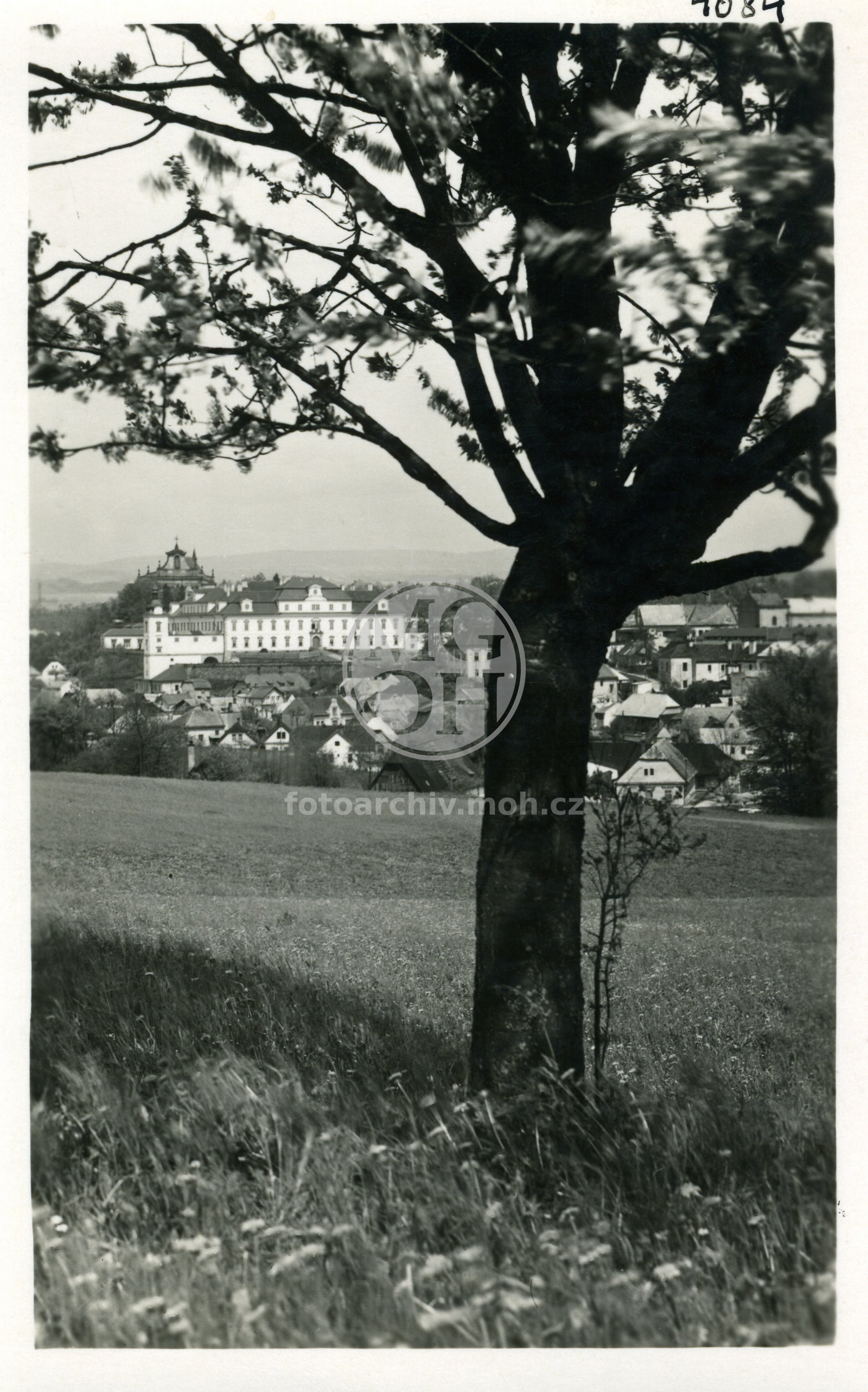 Fotografie - Celk. pohled - jaro