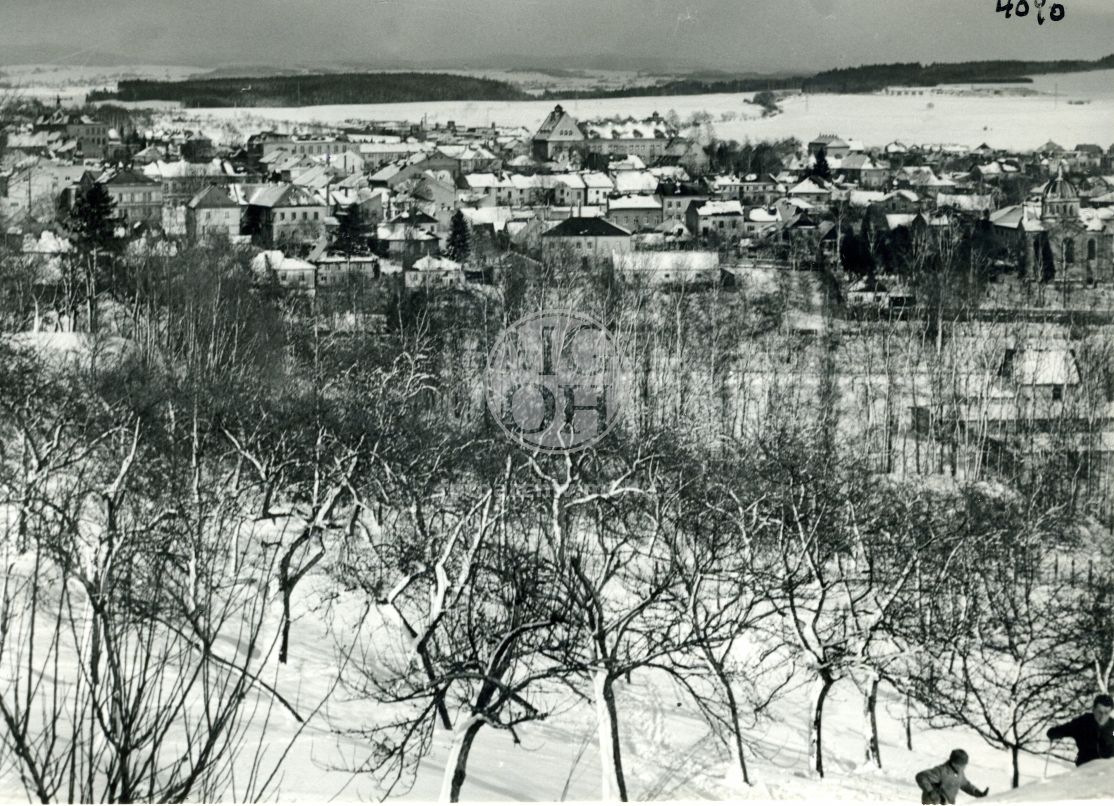 Fotografie - Pohled v zimě