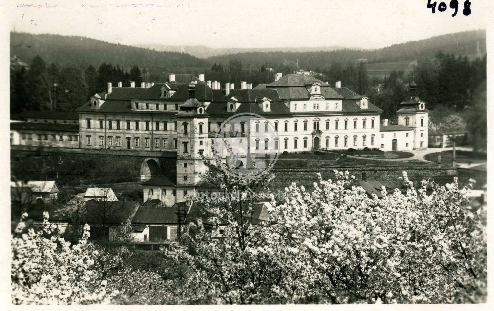 Fotografie - Pohled na jaře