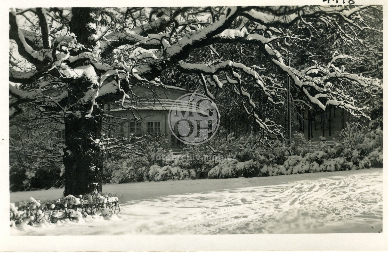 Fotografie - Studánka v zimě