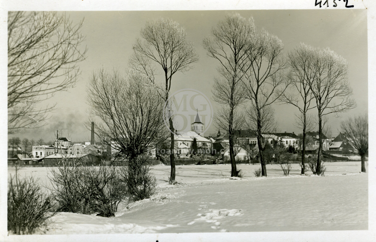 Fotografie - V zimě