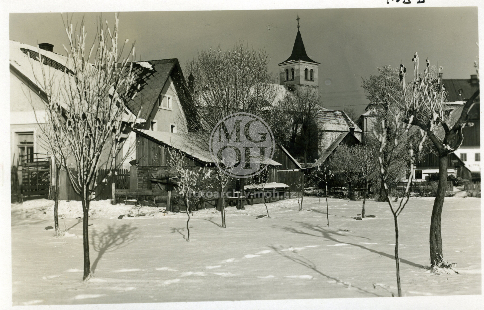 Fotografie - V zimě