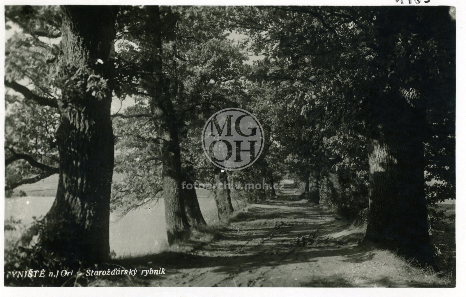 Fotografie - Rybník Starožďárský