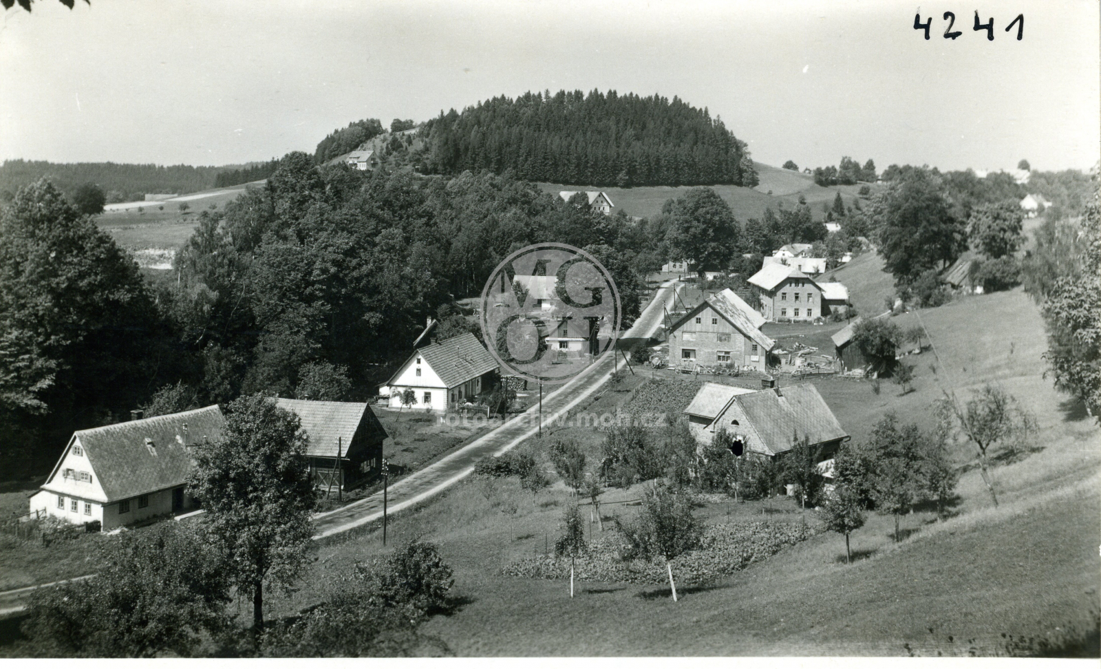 Fotografie - Celkový  pohled