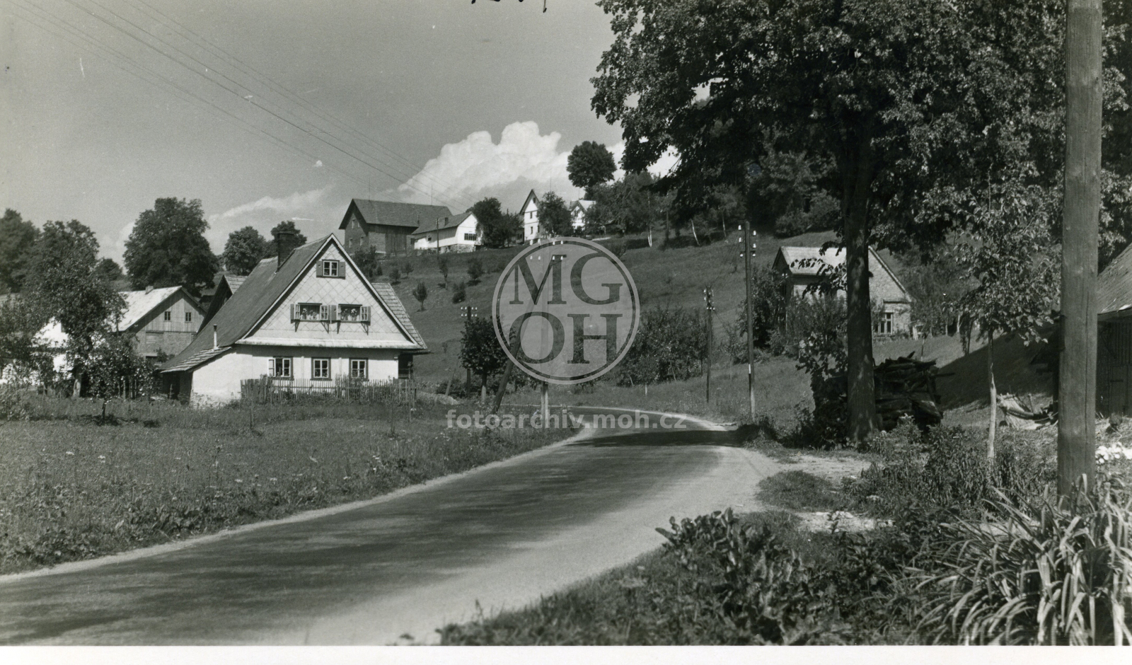 Fotografie - Celkový  pohled