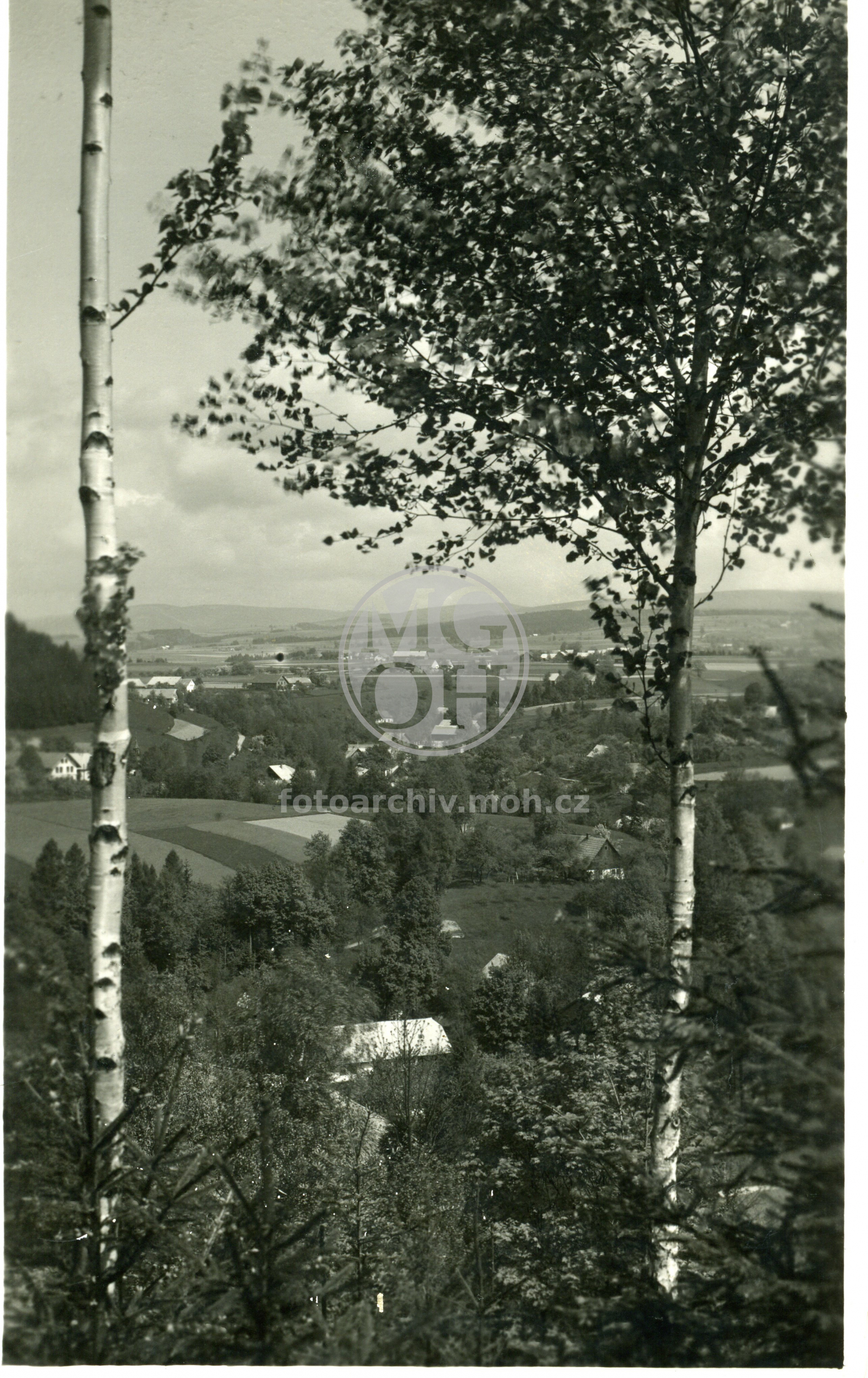 Fotografie - Celkový  pohled