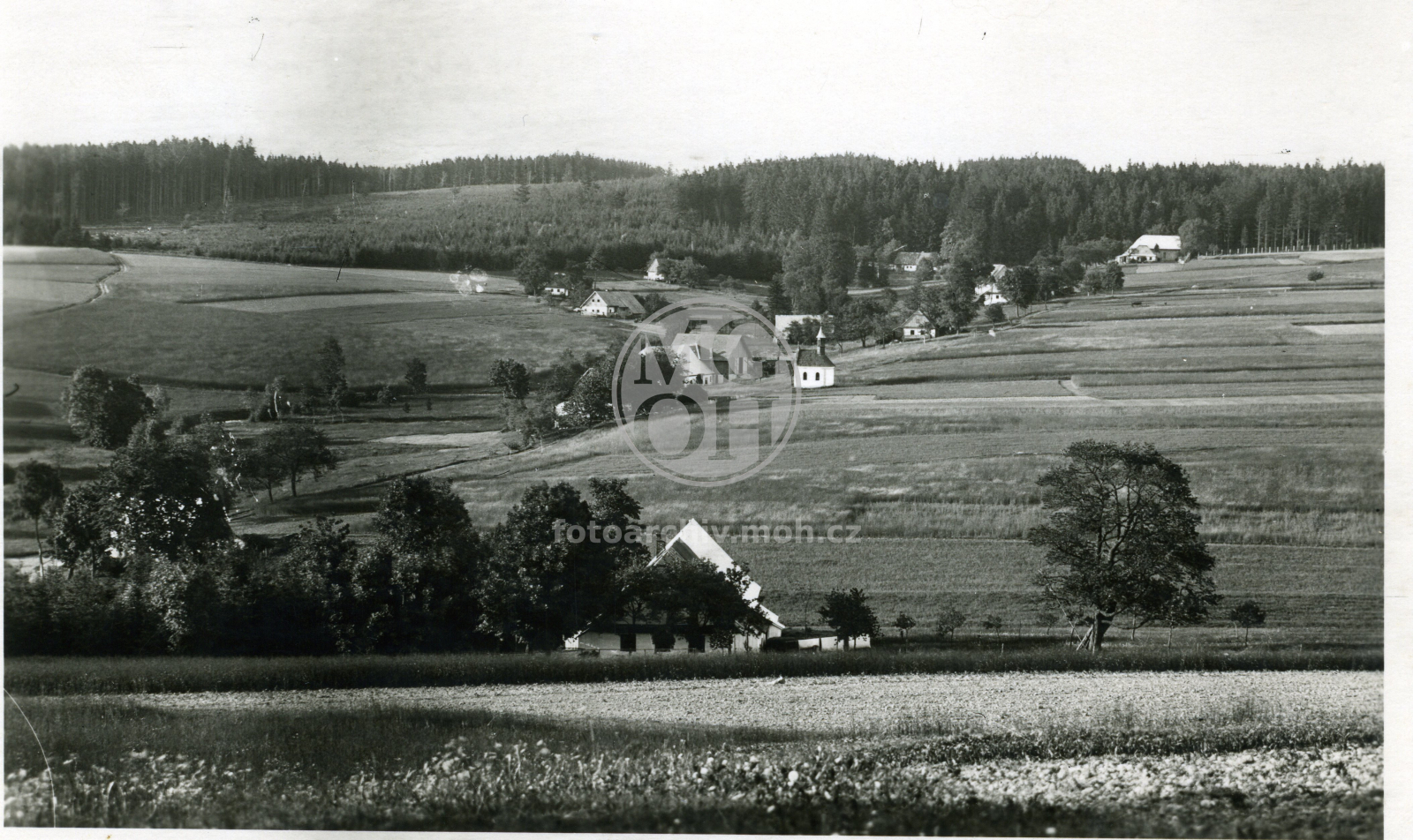 Fotografie - Celkový  pohled