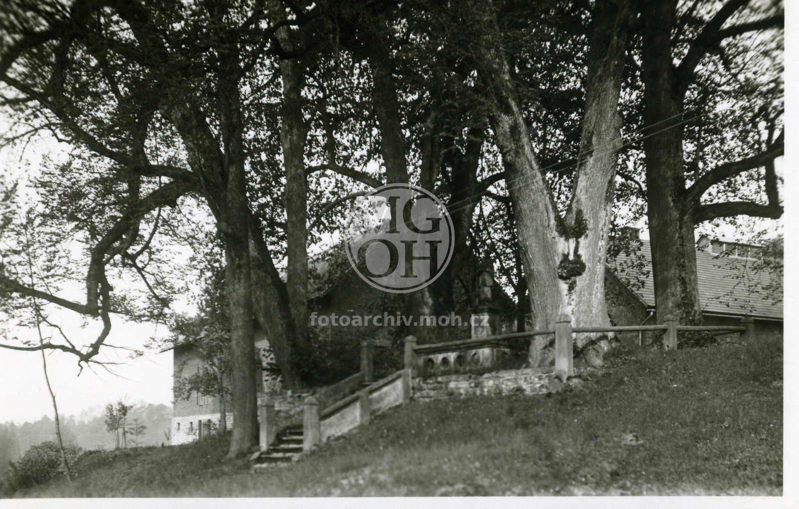 Fotografie - Skupina stromů, schodiště se sv. J. Nepomuckým