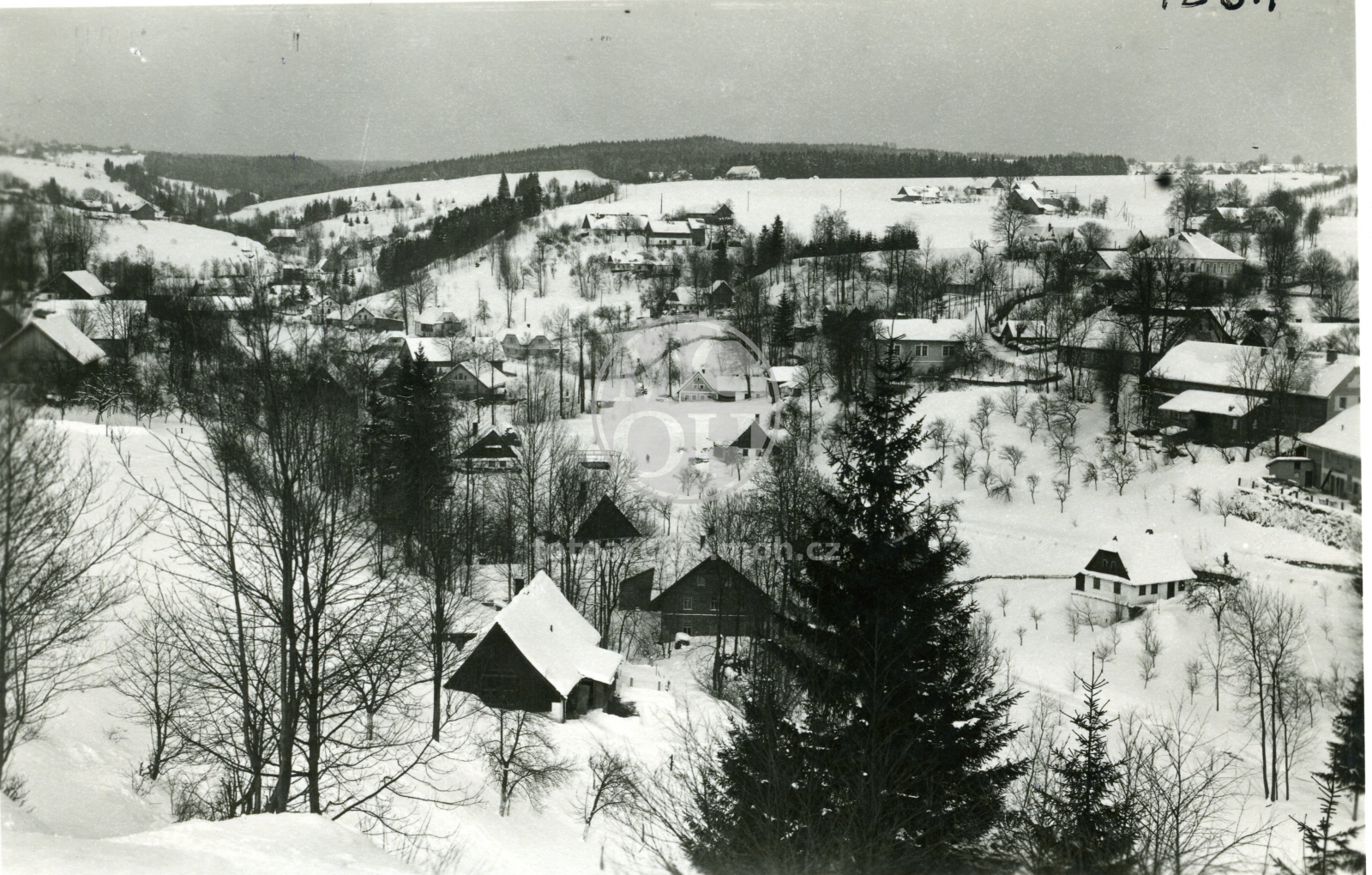 Fotografie - Zimní nálada - celkový pohled