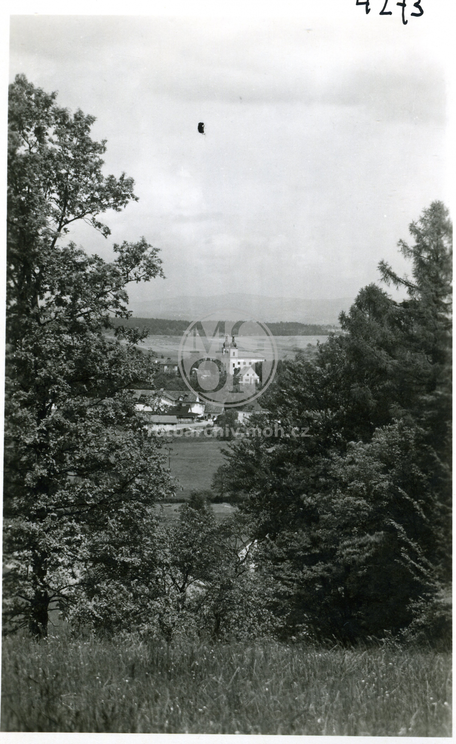 Fotografie - Celkový pohled