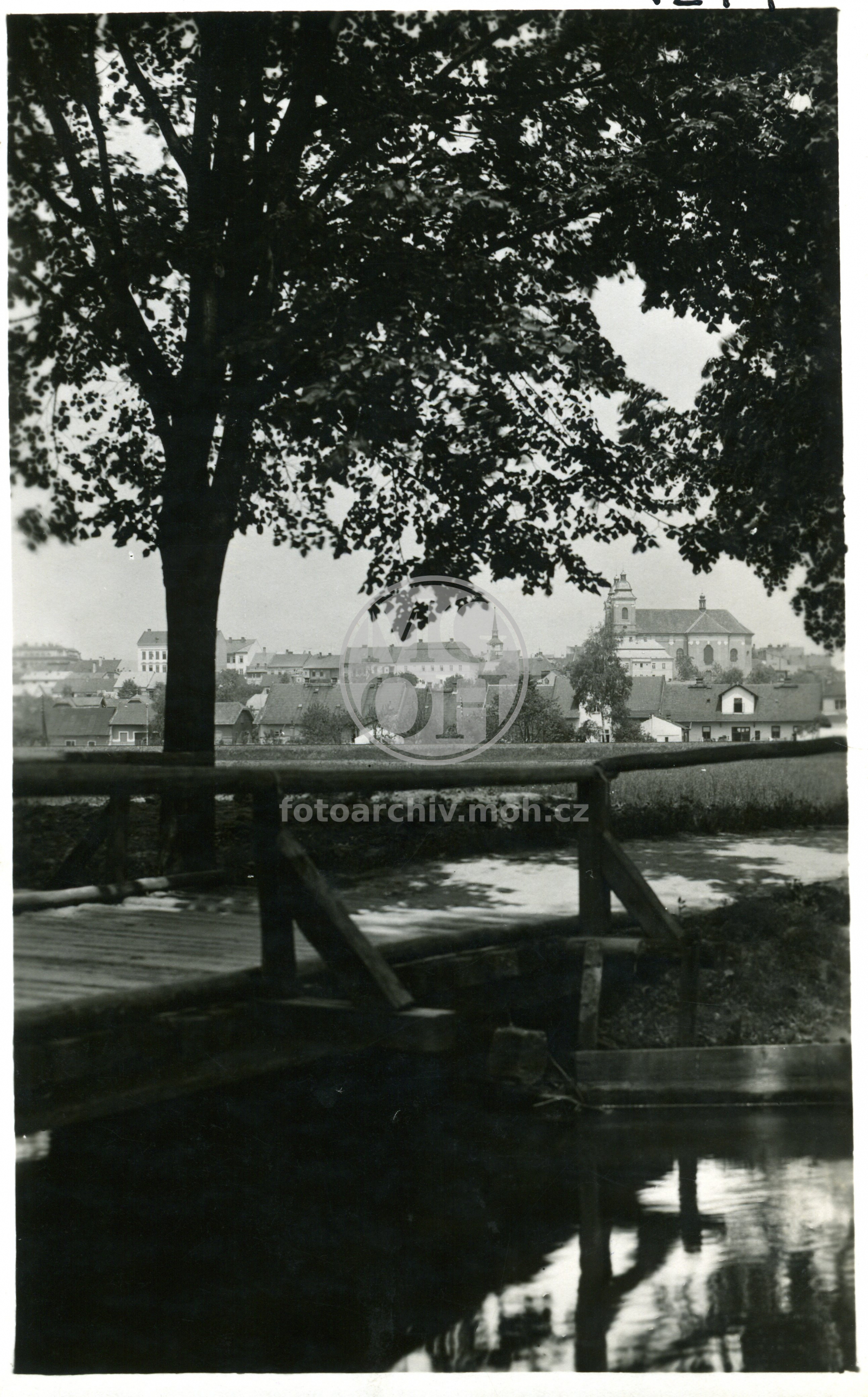 Fotografie - Pohled od Orlice