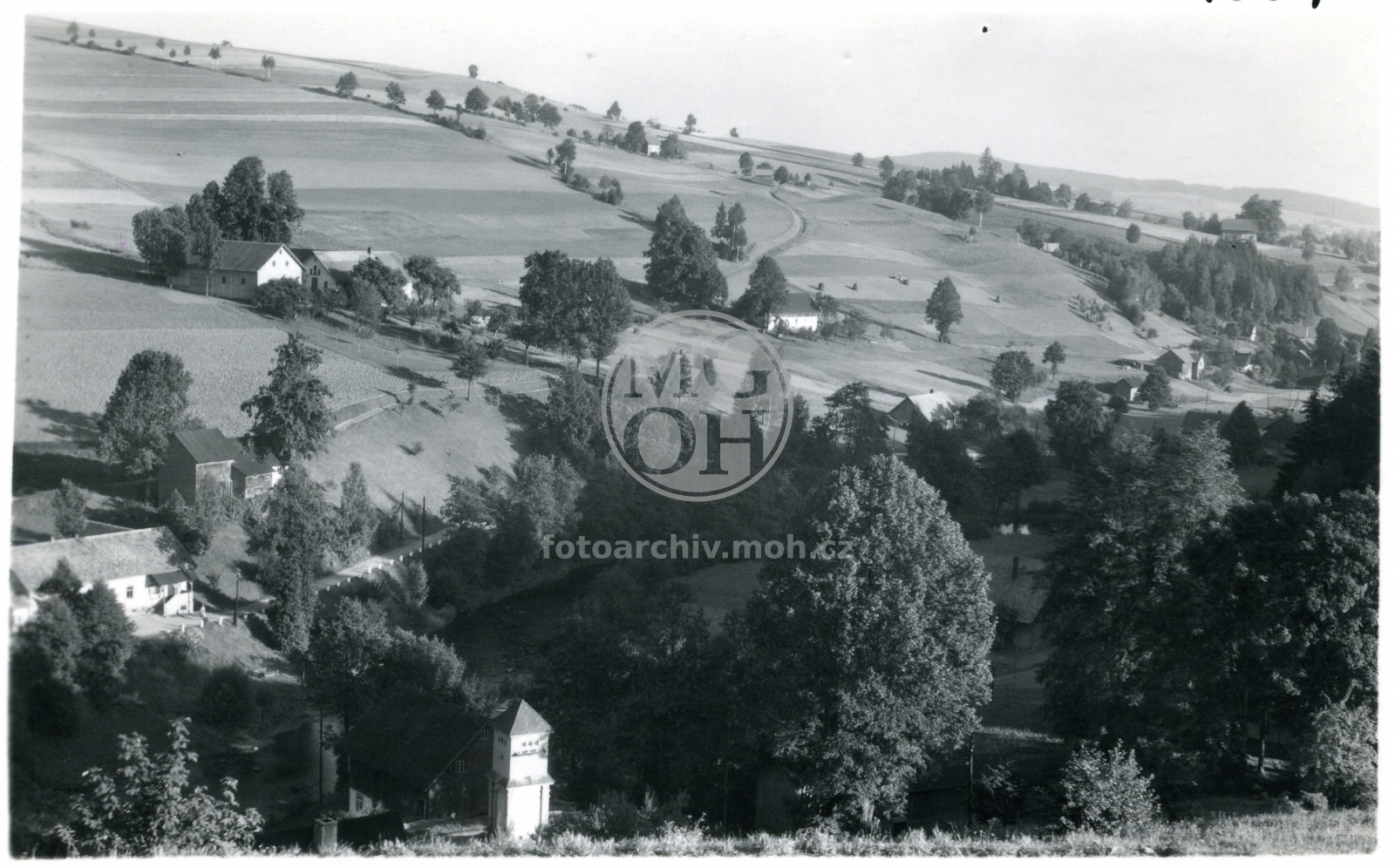 Fotografie - Celkový pohled