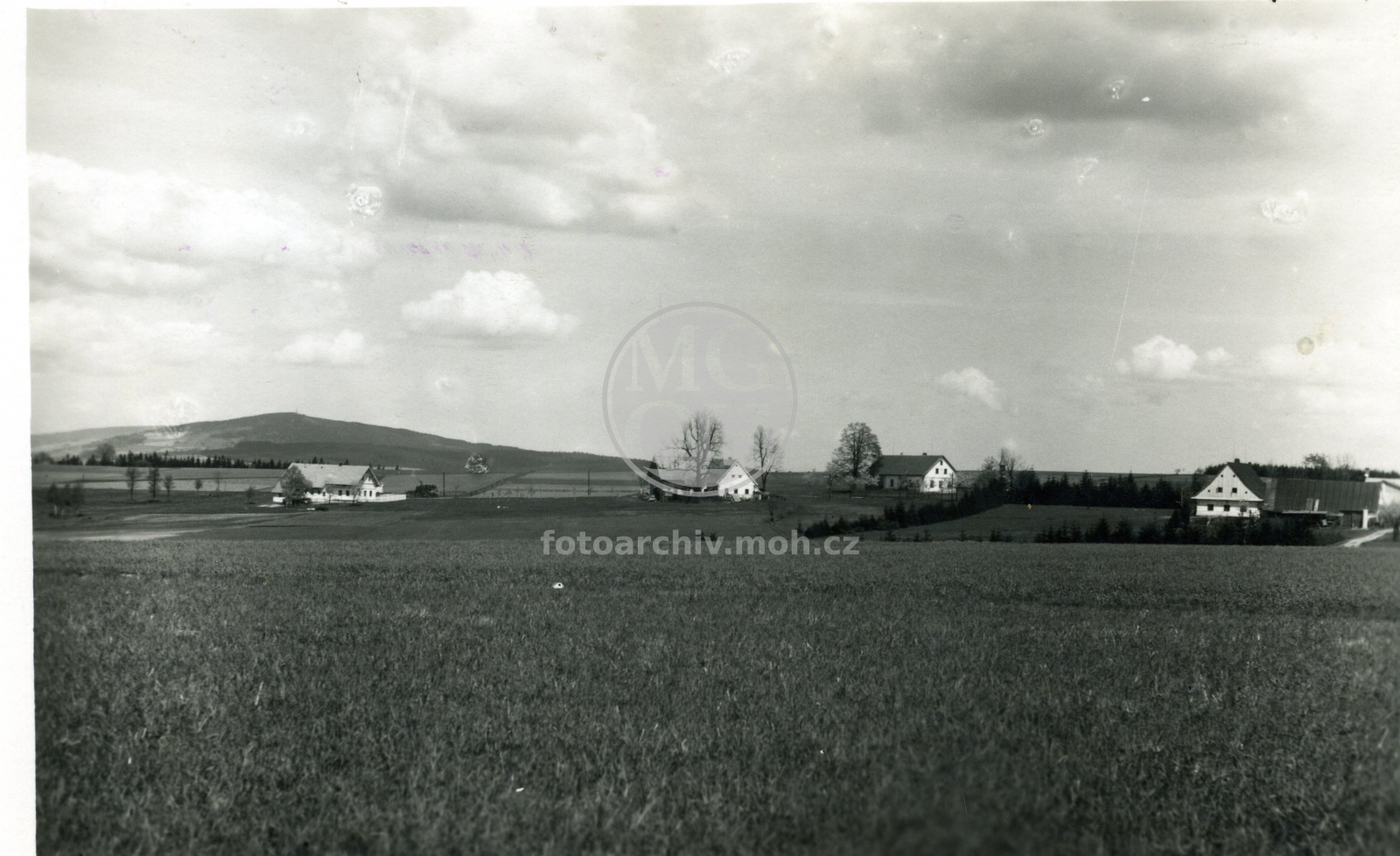 Fotografie - Samota Jedlina