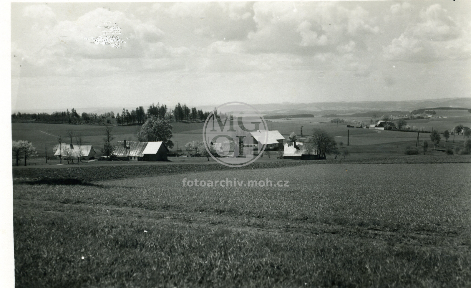 Fotografie - Samota Jedlina