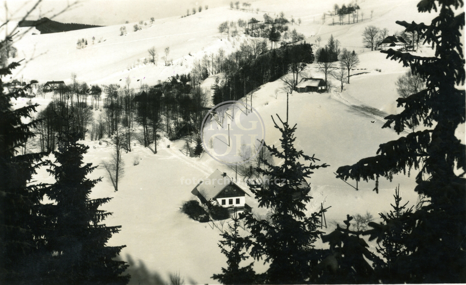 Fotografie - Samota v zimě