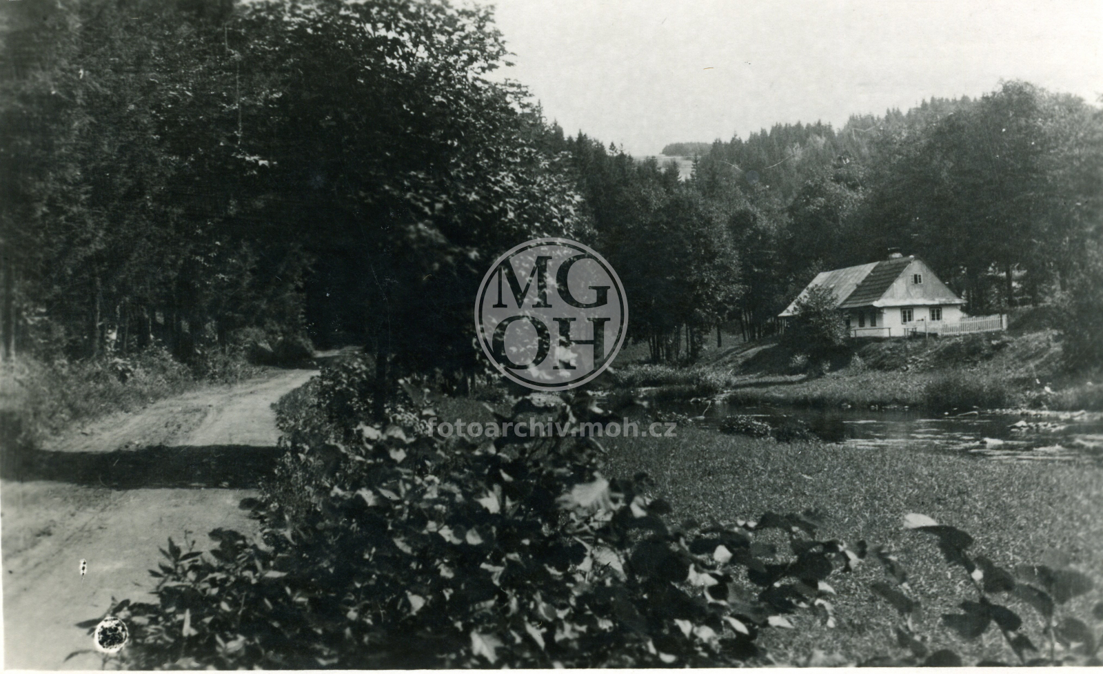 Fotografie - Partie u Divoké Orlice