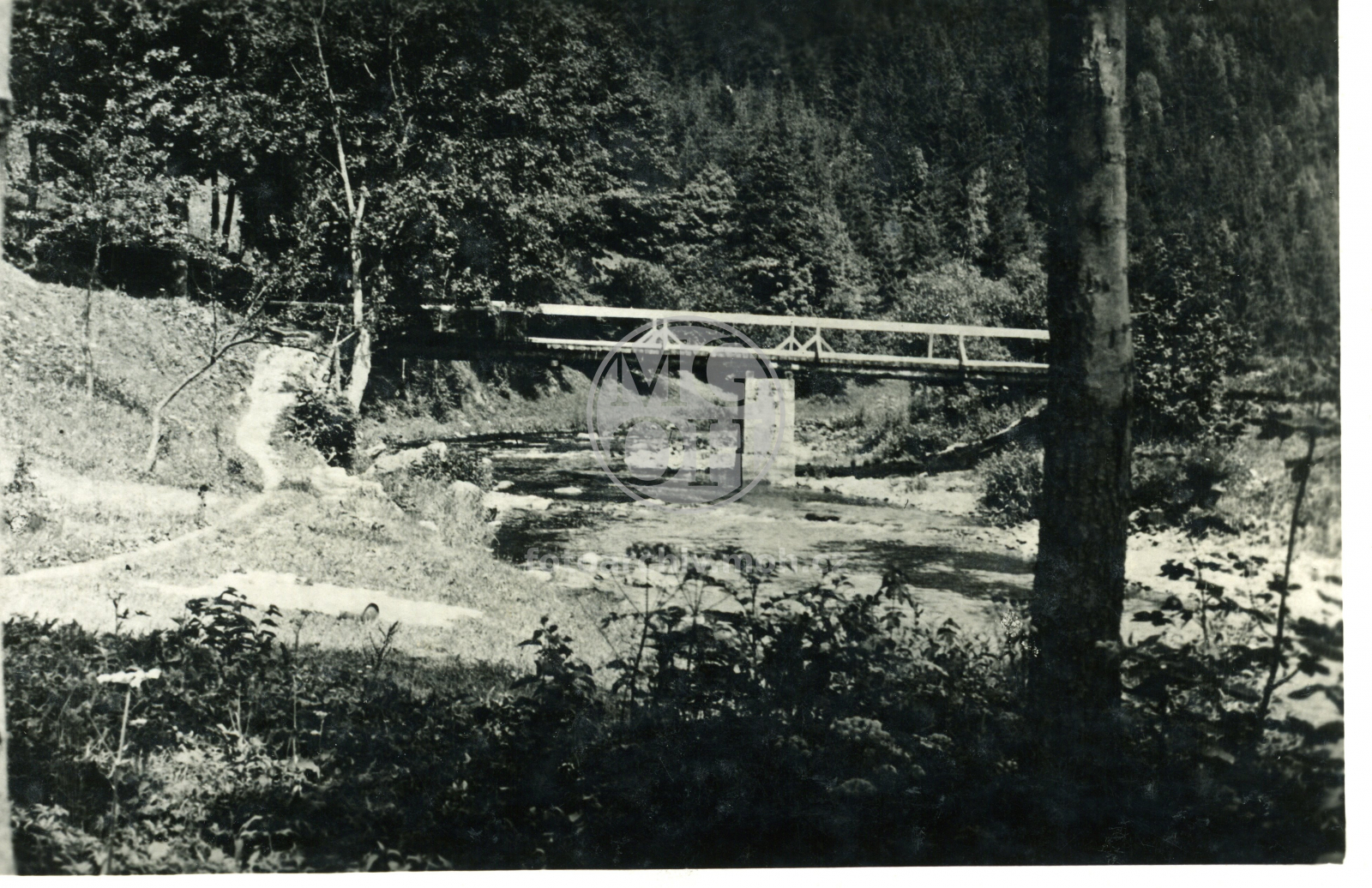 Fotografie - Partie u horního mostu