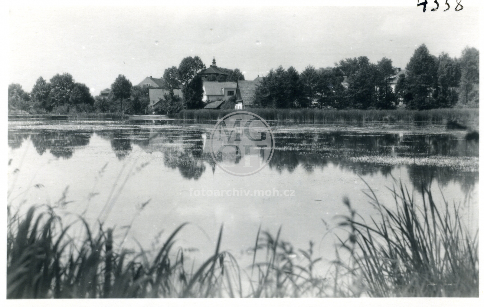 Fotografie - Pohled od rybníku
