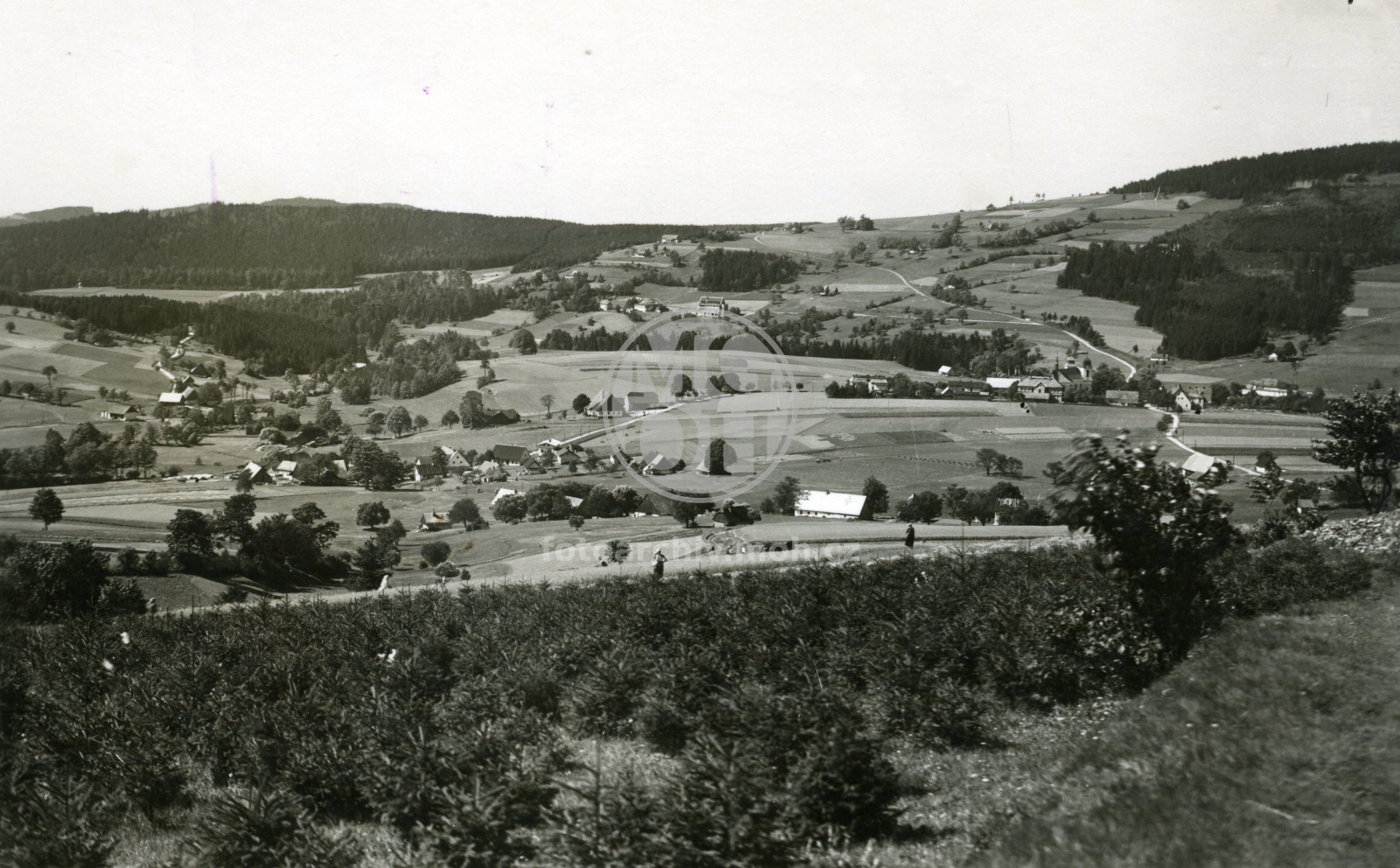 Fotografie - Pohled ke kostelu z cesty na Sedloňovský vrch