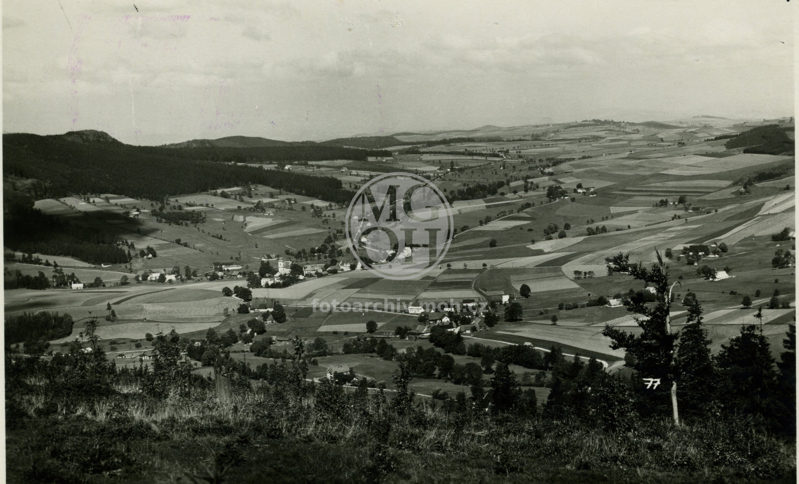 Fotografie - Celkový pohled