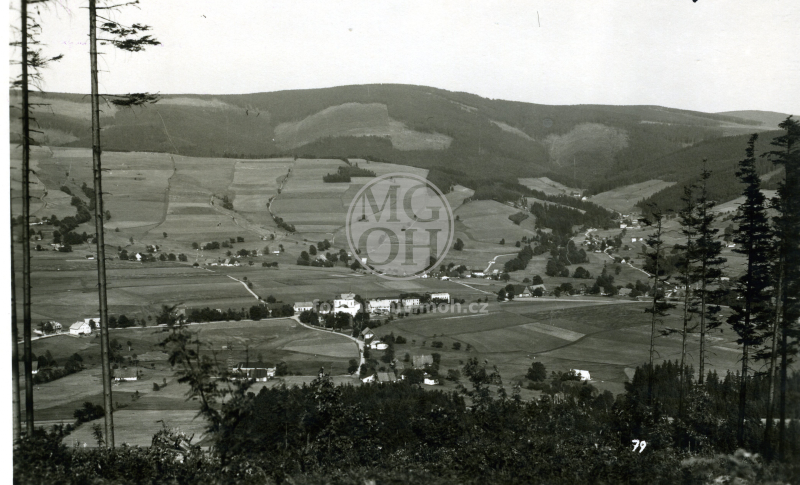 Fotografie - Celkový pohled