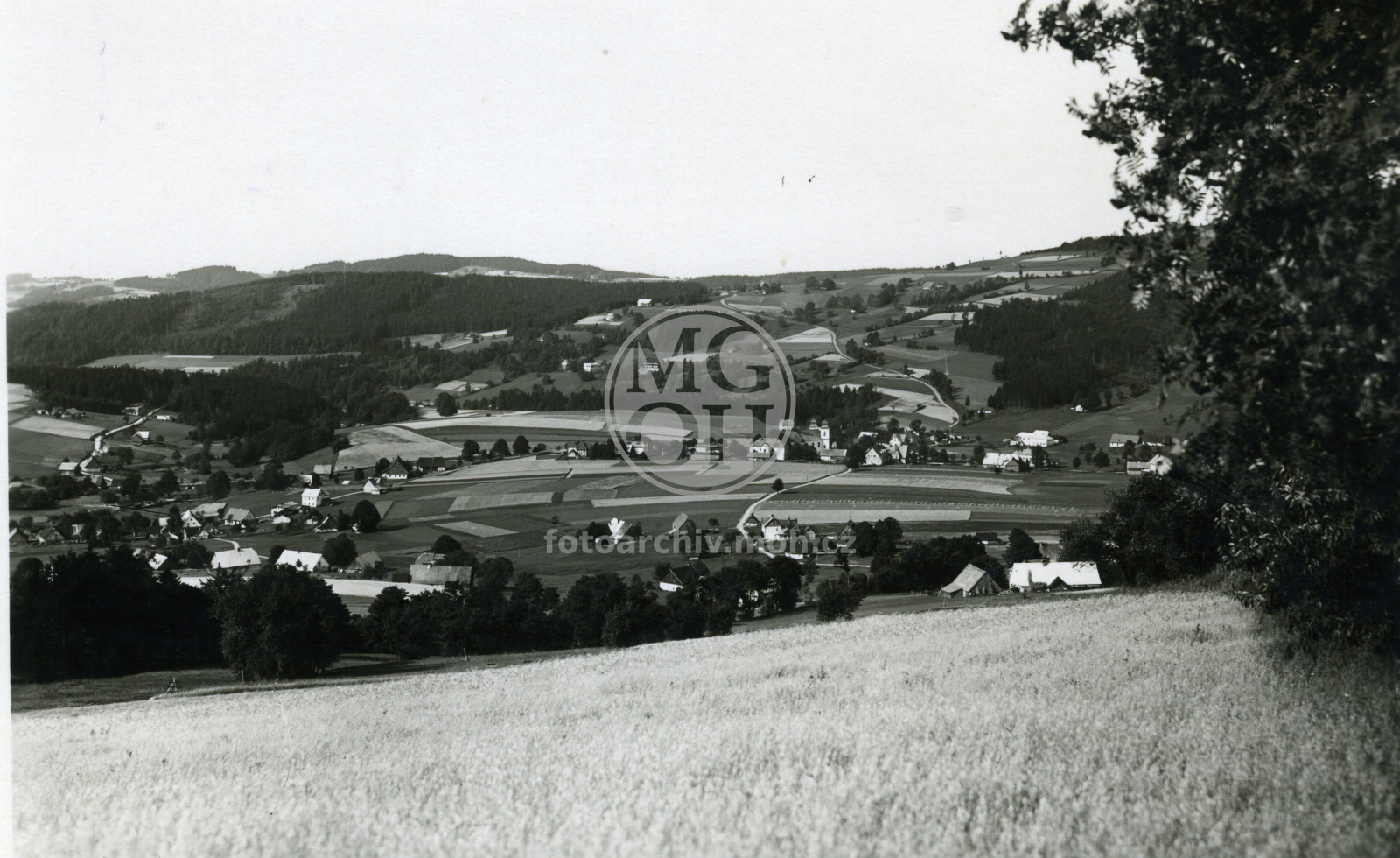 Fotografie - Celkový pohled