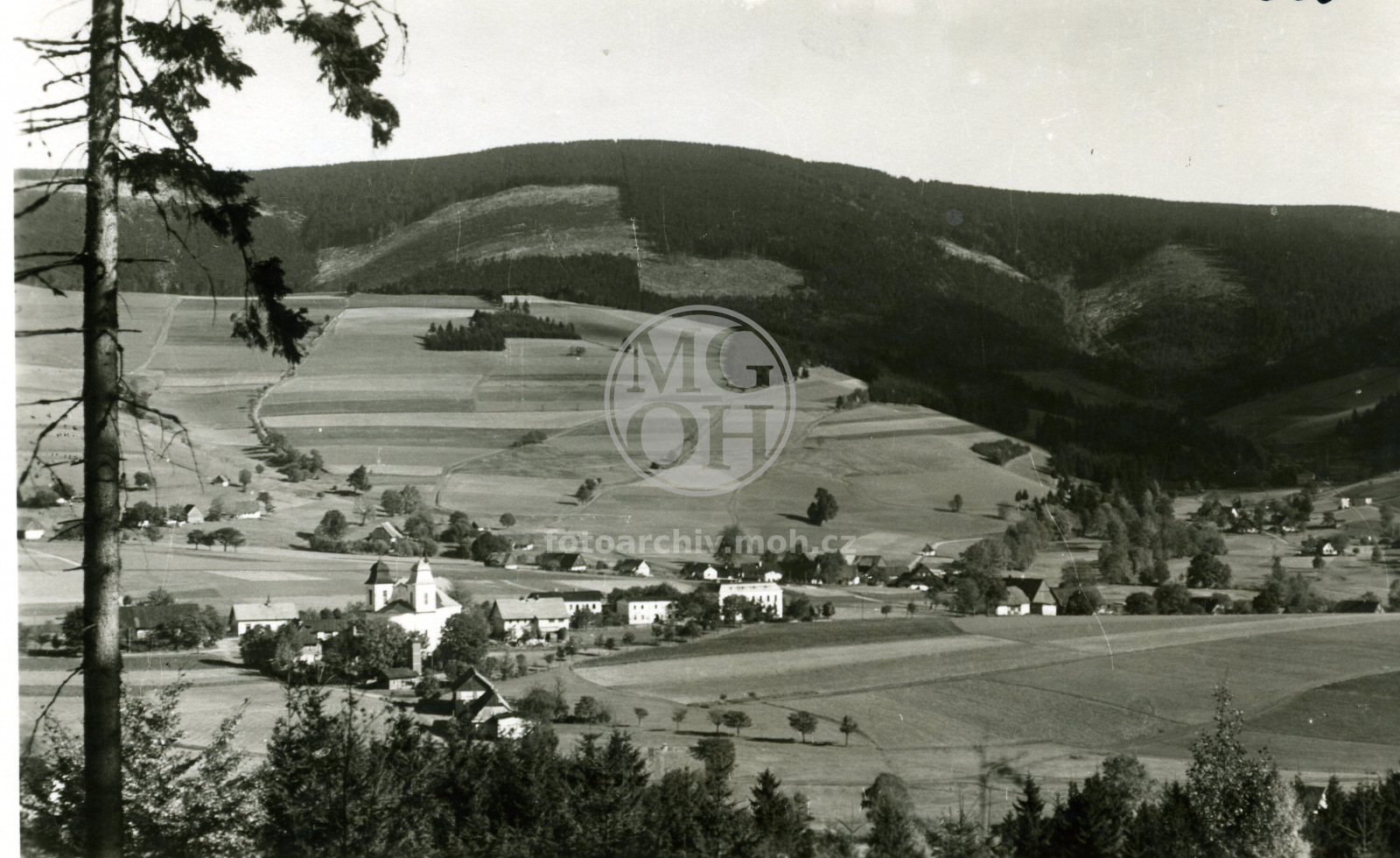 Fotografie - Celkový pohled