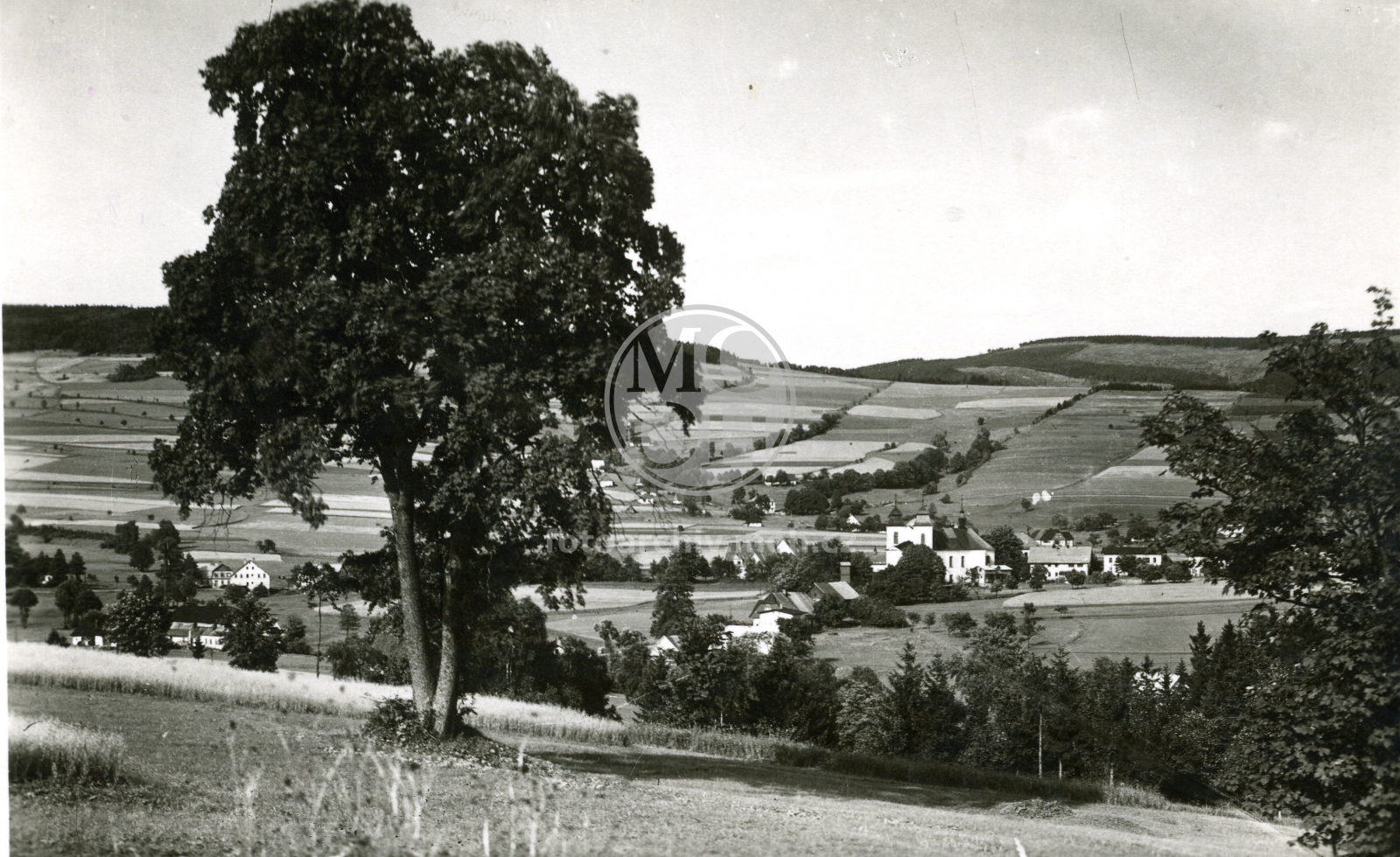 Fotografie - Celkový pohled