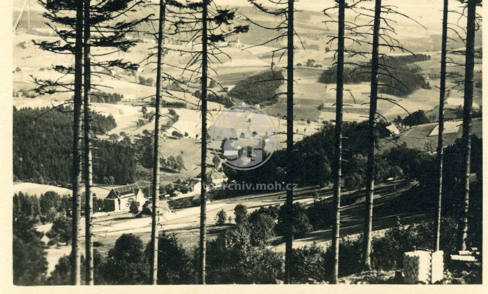 Fotografie - Pohled na Panorámu, v dálce sv. Matouš na Jedlové