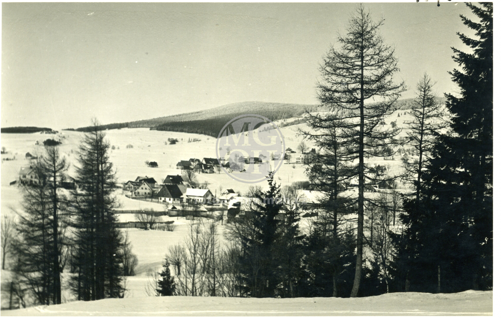 Fotografie - Zima - na staré cestě