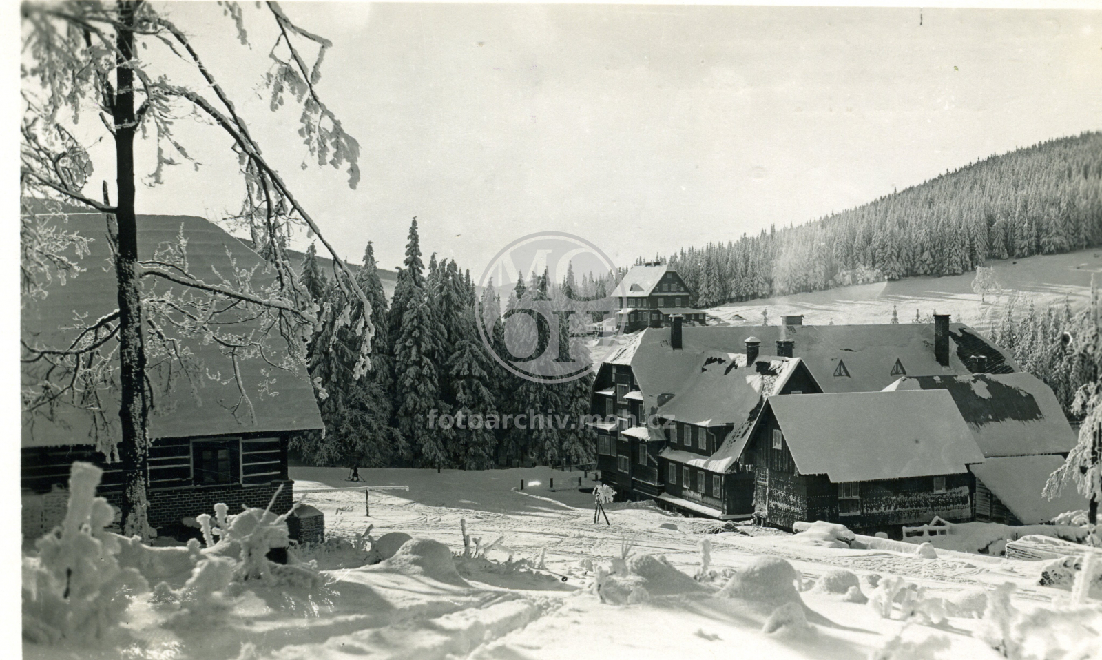 Fotografie - Šerlišský mlýn v zimě