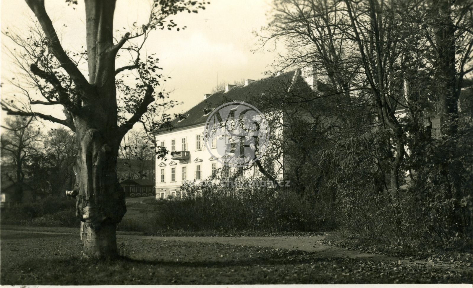 Fotografie - Zámek