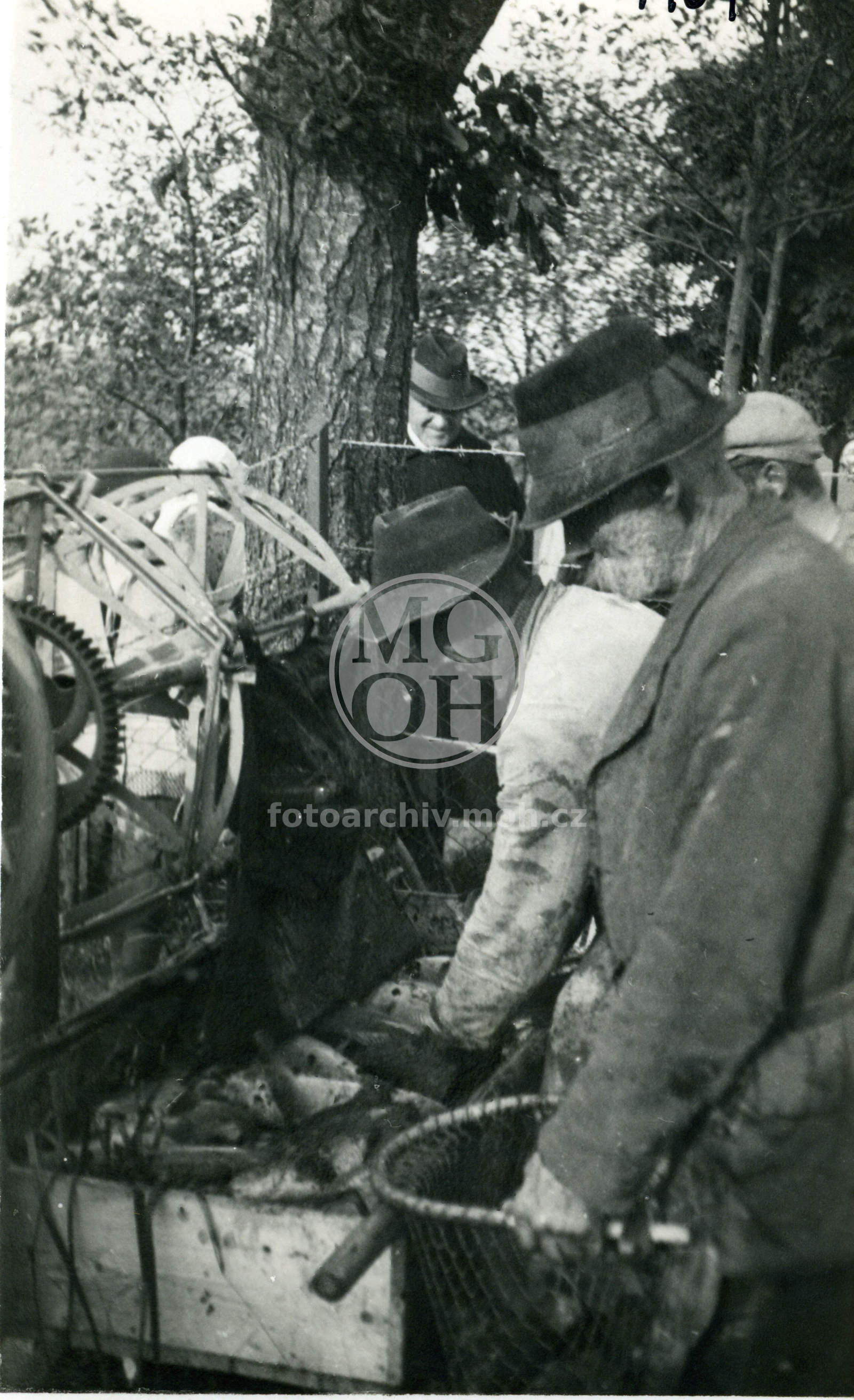 Fotografie - Výlov rybníka