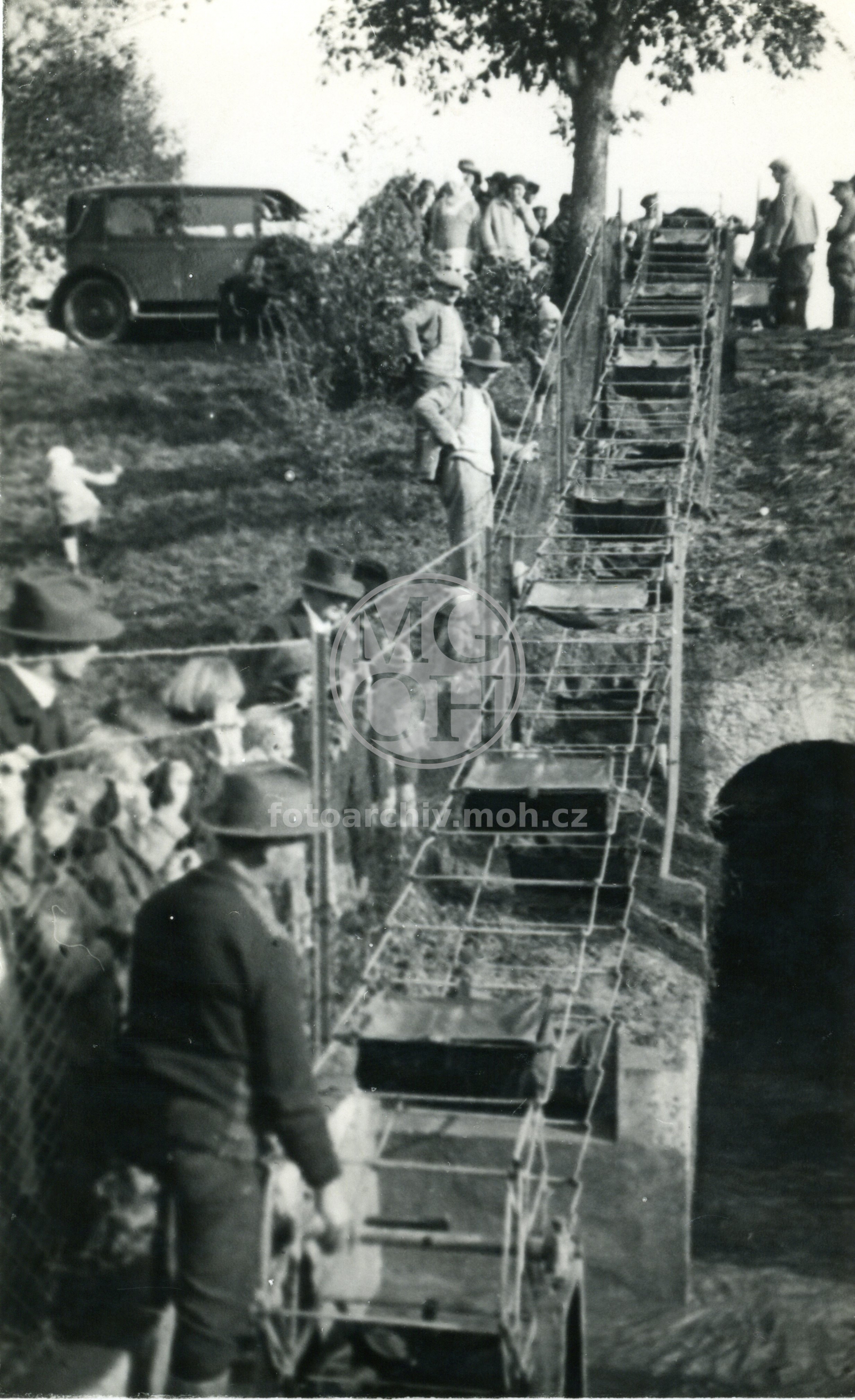 Fotografie - Výlov rybníka