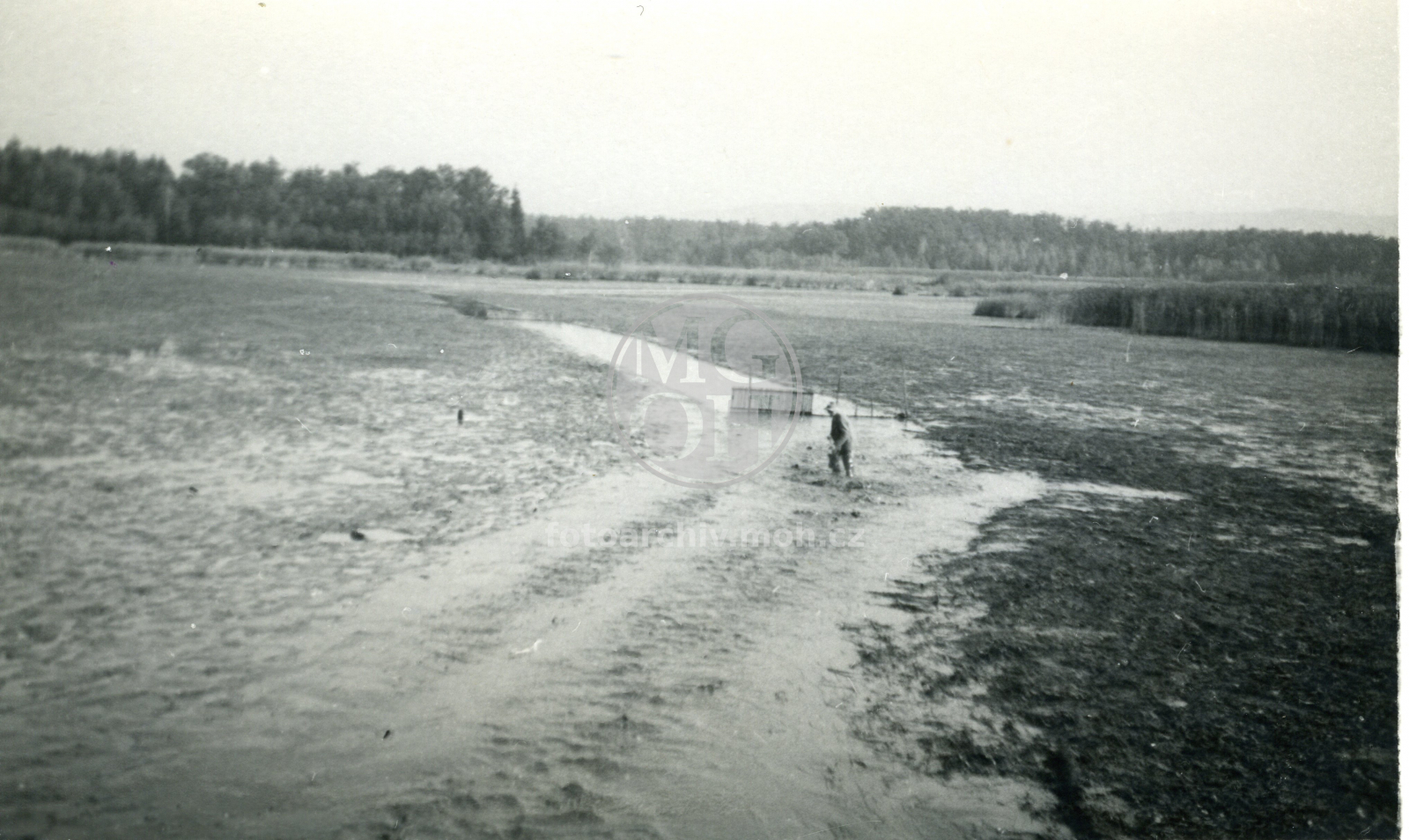 Fotografie - Výlov rybníka