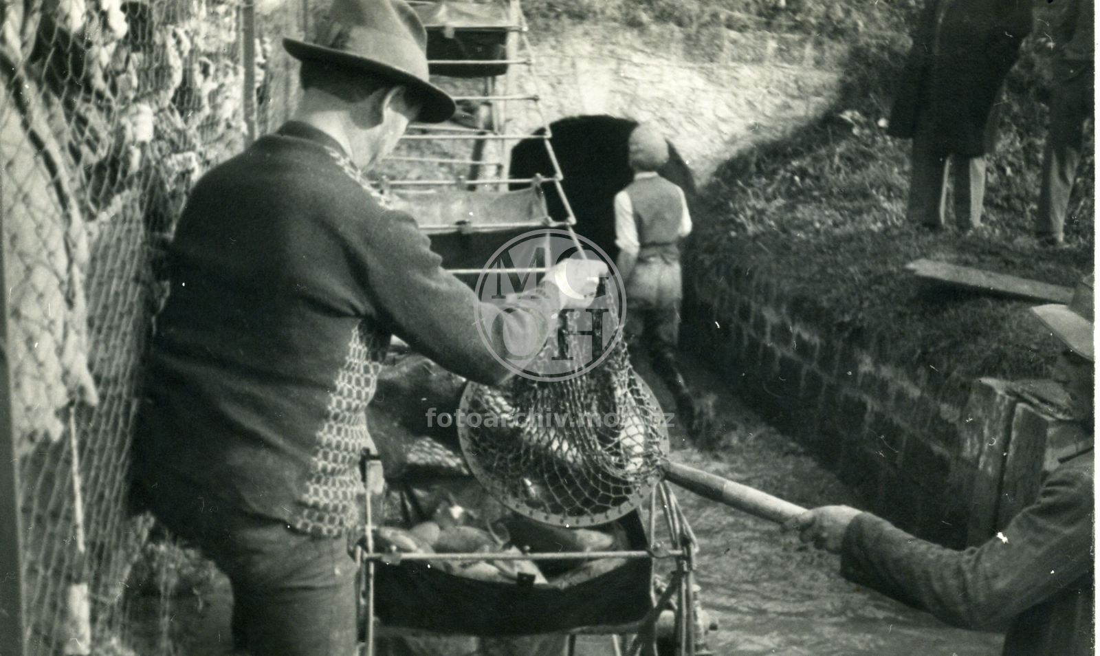 Fotografie - Výlov rybníka