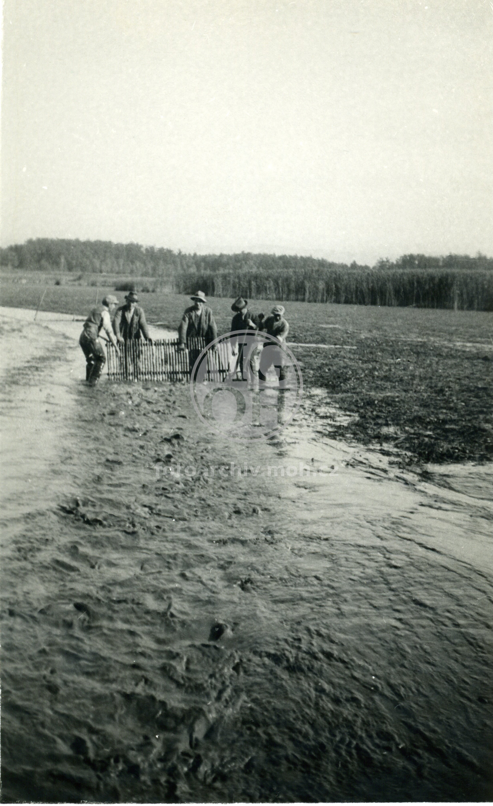 Fotografie - Výlov rybníka