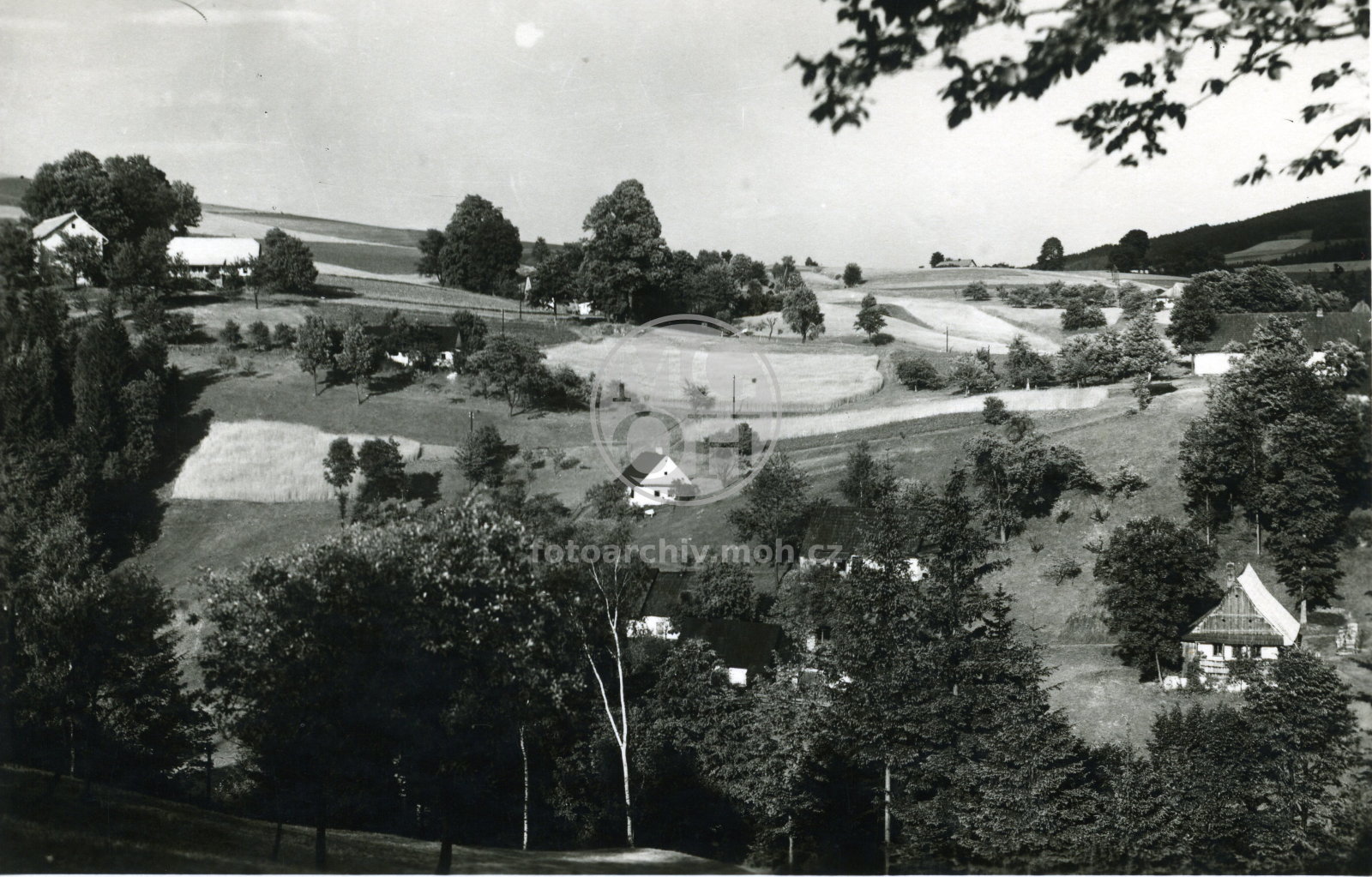 Fotografie - Pastviny