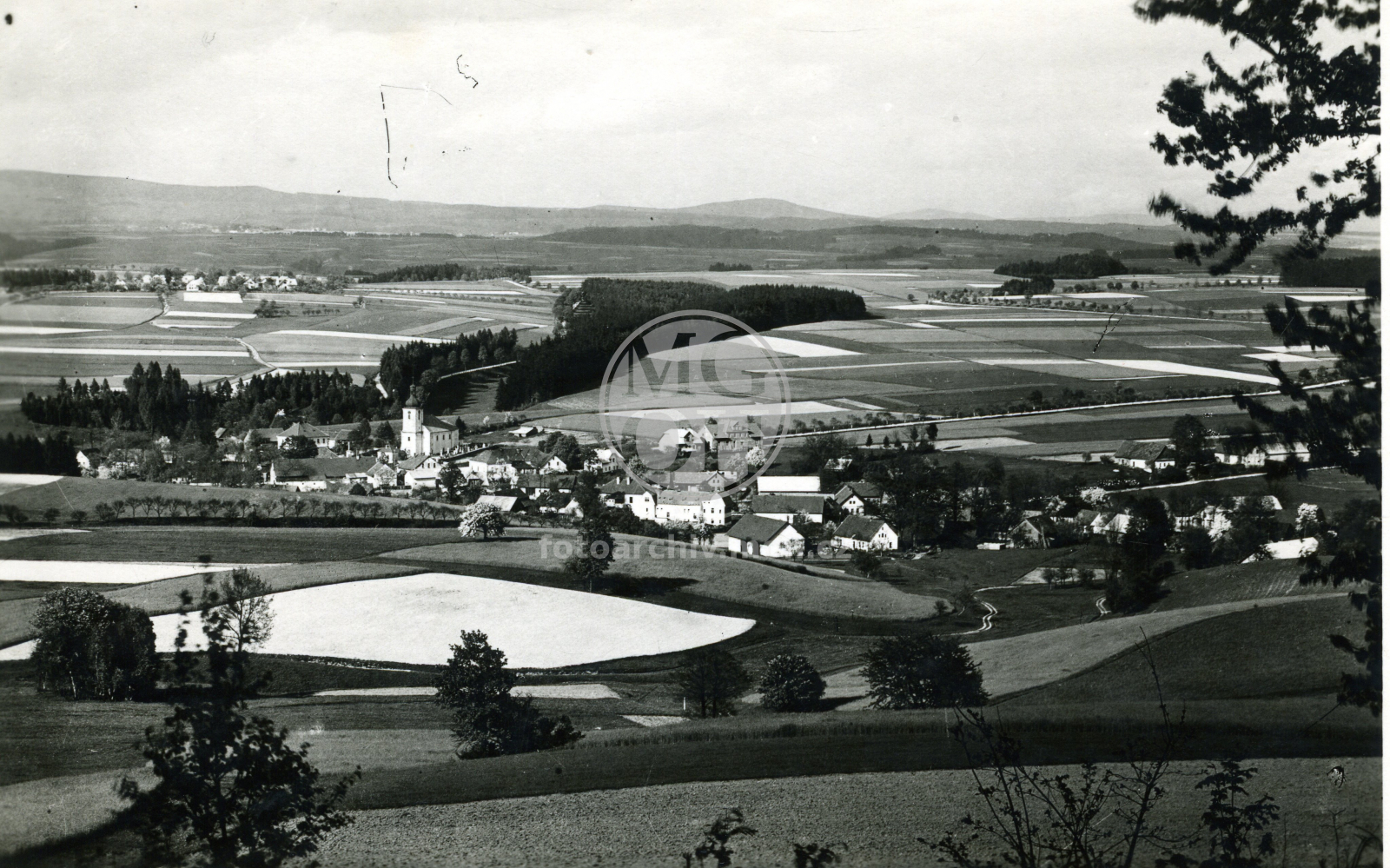 Fotografie - Celkový pohled