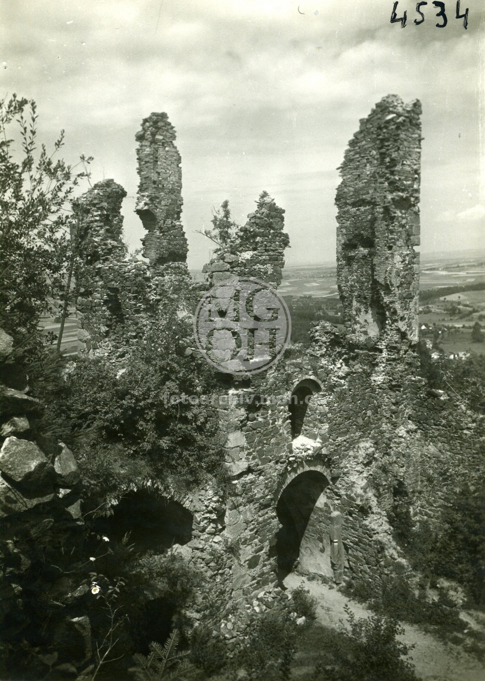 Fotografie - Zřícenina hradu